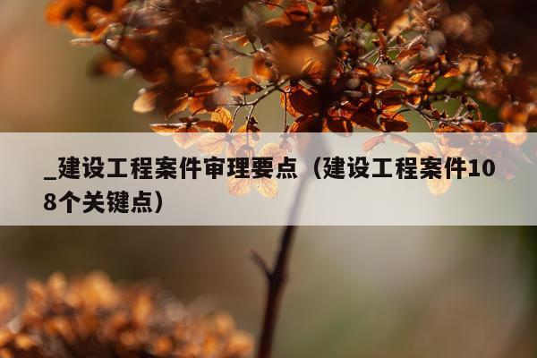 _建设工程案件审理要点（建设工程案件108个关键点）
