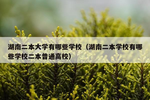 湖南二本大学有哪些学校（湖南二本学校有哪些学校二本普通高校）