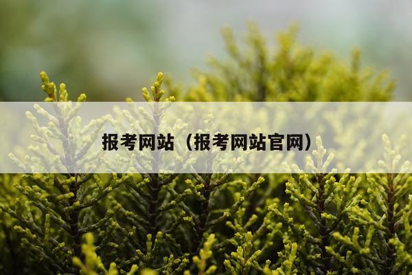 报考网站（报考网站官网）