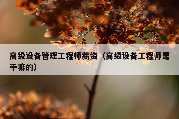 高级设备管理工程师薪资（高级设备工程师是干嘛的）