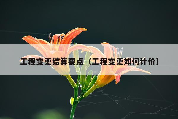 工程变更结算要点（工程变更如何计价）
