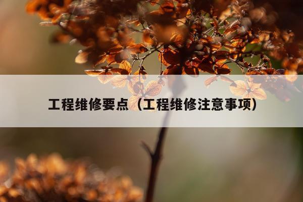工程维修要点（工程维修注意事项）