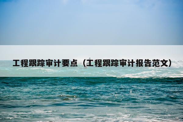 工程跟踪审计要点（工程跟踪审计报告范文）