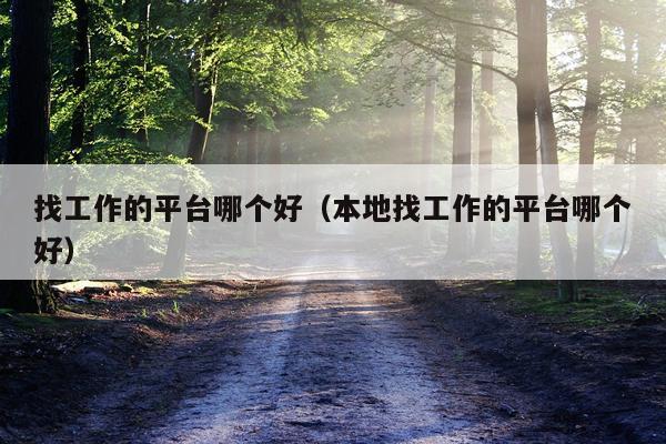 找工作的平台哪个好（本地找工作的平台哪个好）