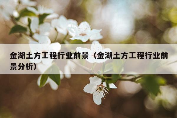 金湖土方工程行业前景（金湖土方工程行业前景分析）