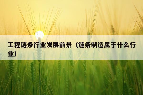工程链条行业发展前景（链条制造属于什么行业）
