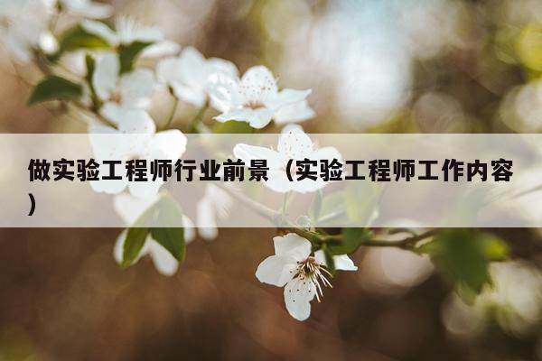 做实验工程师行业前景（实验工程师工作内容）