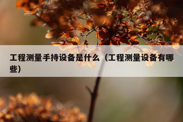工程测量手持设备是什么（工程测量设备有哪些）