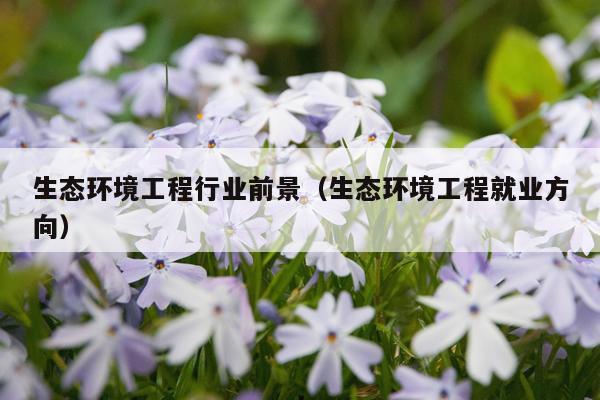 生态环境工程行业前景（生态环境工程就业方向）