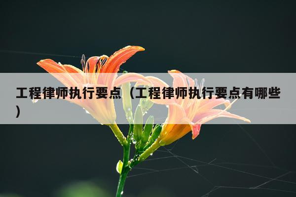工程律师执行要点（工程律师执行要点有哪些）