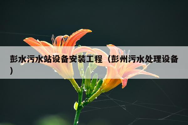 彭水污水站设备安装工程（彭州污水处理设备）