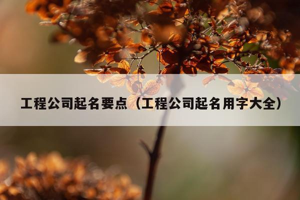 工程公司起名要点（工程公司起名用字大全）
