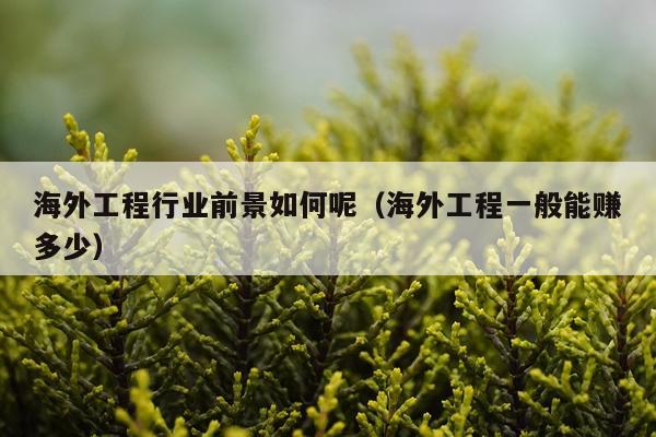 海外工程行业前景如何呢（海外工程一般能赚多少）
