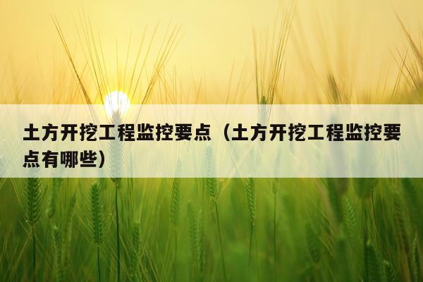 土方开挖工程监控要点（土方开挖工程监控要点有哪些）
