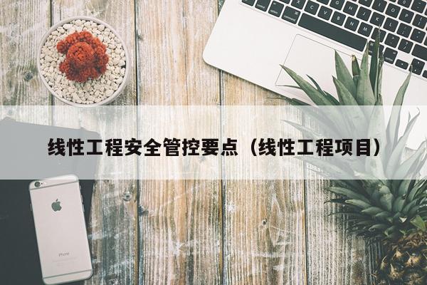 线性工程安全管控要点（线性工程项目）