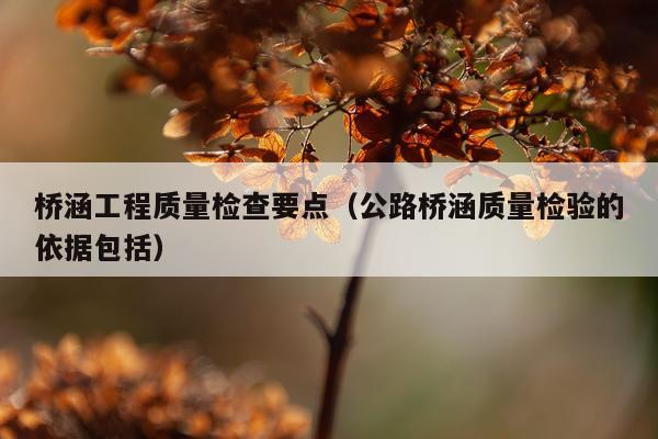 桥涵工程质量检查要点（公路桥涵质量检验的依据包括）