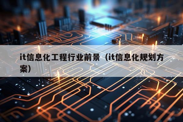 it信息化工程行业前景（it信息化规划方案）