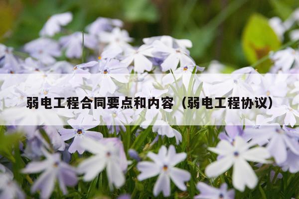 弱电工程合同要点和内容（弱电工程协议）