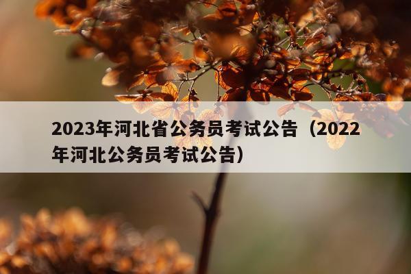 2023年河北省公务员考试公告（2022年河北公务员考试公告）