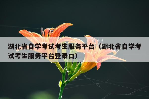 湖北省自学考试考生服务平台（湖北省自学考试考生服务平台登录口）