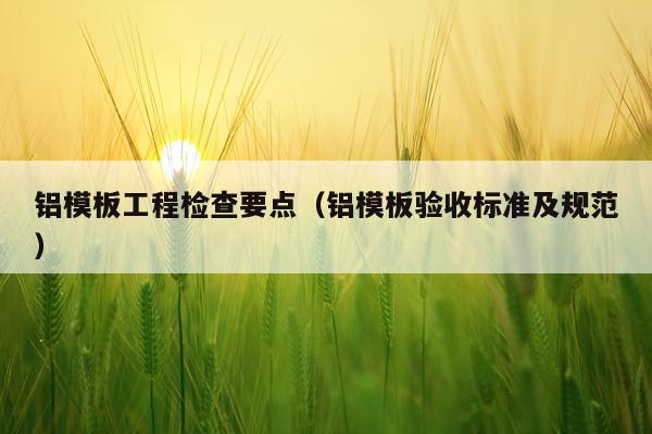 铝模板工程检查要点（铝模板验收标准及规范）