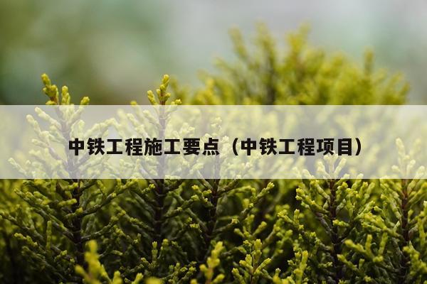 中铁工程施工要点（中铁工程项目）