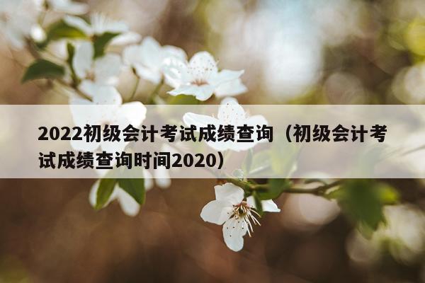 2022初级会计考试成绩查询(初级会计考试成绩查询时间2020)