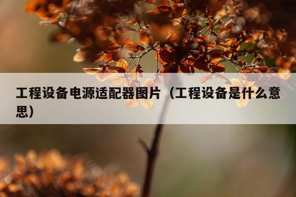 工程设备电源适配器图片（工程设备是什么意思）