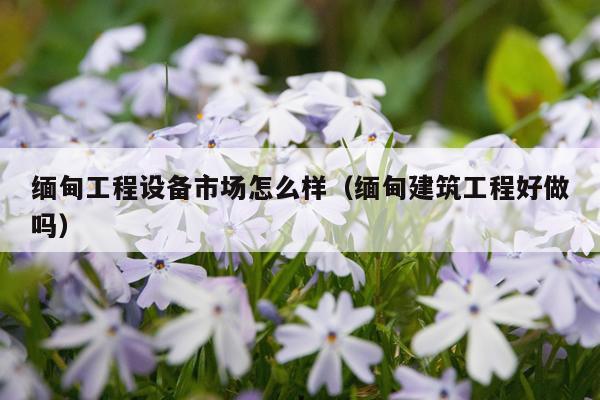 缅甸工程设备市场怎么样（缅甸建筑工程好做吗）