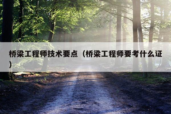 桥梁工程师技术要点（桥梁工程师要考什么证）