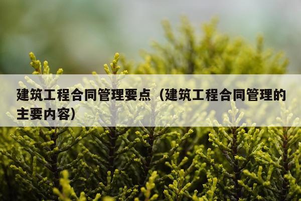 建筑工程合同管理要点（建筑工程合同管理的主要内容）
