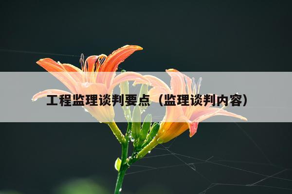 工程监理谈判要点（监理谈判内容）
