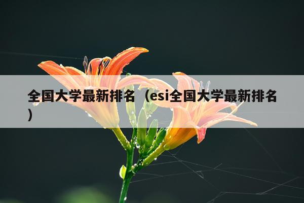 全国大学最新排名（esi全国大学最新排名）
