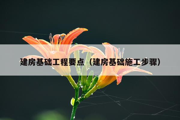 建房基础工程要点（建房基础施工步骤）