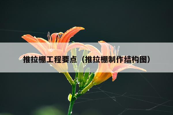 推拉棚工程要点（推拉棚制作结构图）