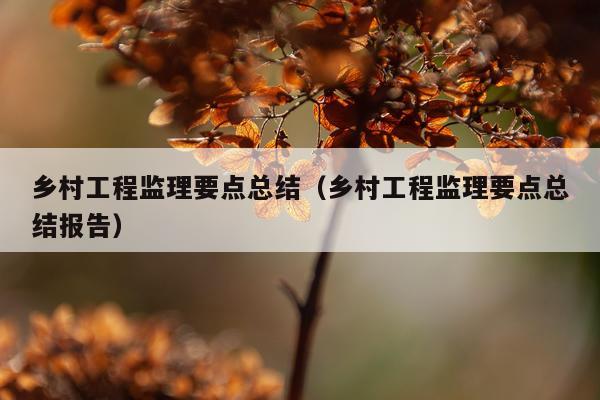 乡村工程监理要点总结（乡村工程监理要点总结报告）