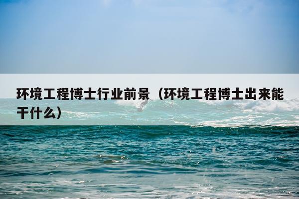 环境工程博士行业前景（环境工程博士出来能干什么）