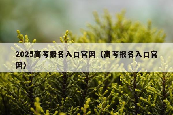 2025高考报名入口官网（高考报名入口官网）