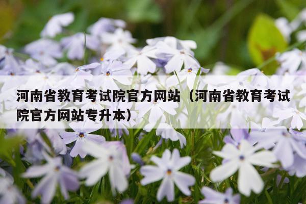 河南省教育考试院官方网站（河南省教育考试院官方网站专升本）