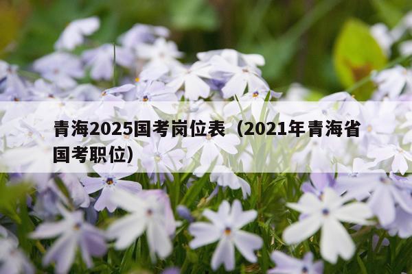 青海2025国考岗位表（2021年青海省国考职位）