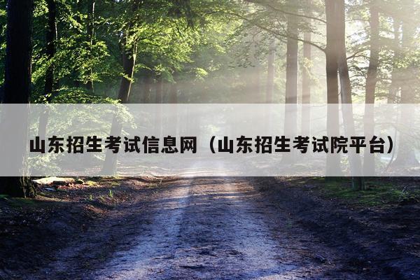 山东招生考试信息网（山东招生考试院平台）