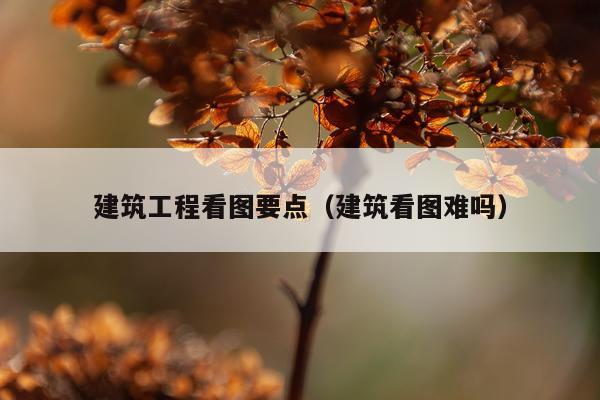 建筑工程看图要点（建筑看图难吗）