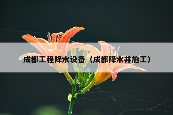 成都工程降水设备（成都降水井施工）