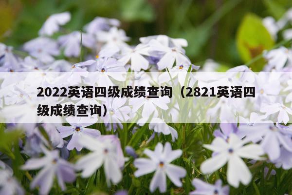 2022英语四级成绩查询（2821英语四级成绩查询）