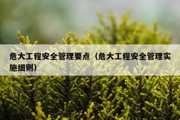 危大工程安全管理要点（危大工程安全管理实施细则）
