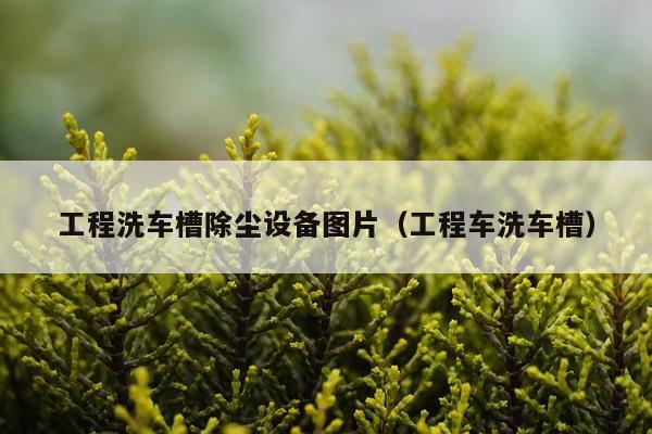 工程洗车槽除尘设备图片（工程车洗车槽）