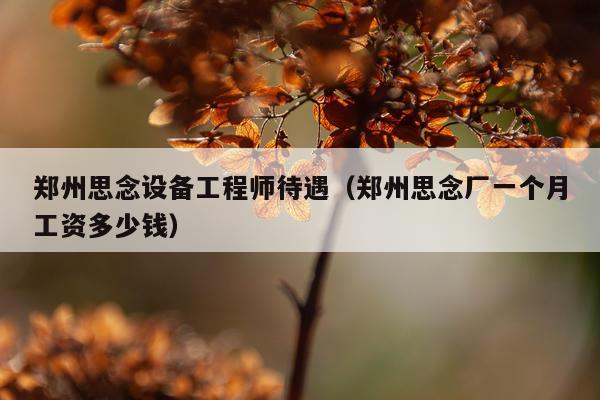 郑州思念设备工程师待遇（郑州思念厂一个月工资多少钱）