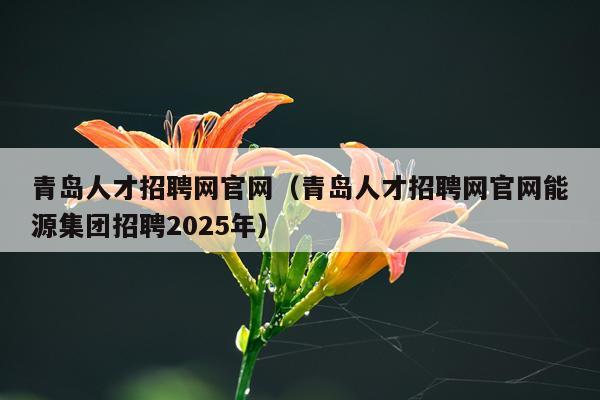 青岛人才招聘网官网（青岛人才招聘网官网能源集团招聘2025年）