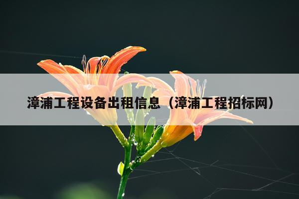 漳浦工程设备出租信息（漳浦工程招标网）