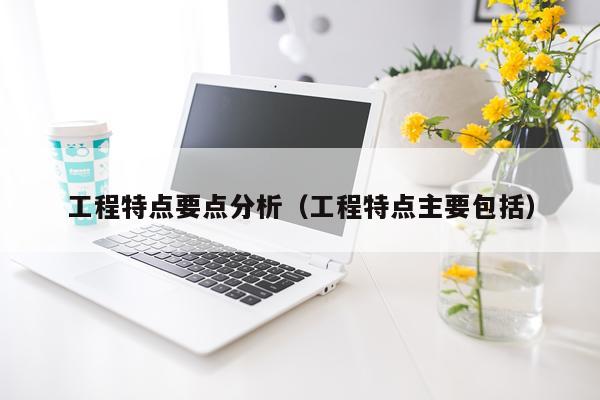 工程特点要点分析（工程特点主要包括）
